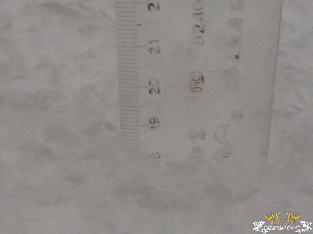 记录2010年1月3日  大雪