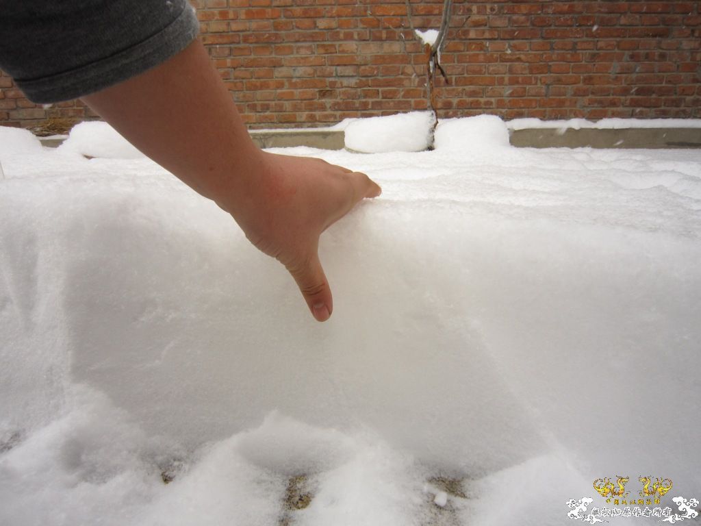 记录2010年1月3日  大雪