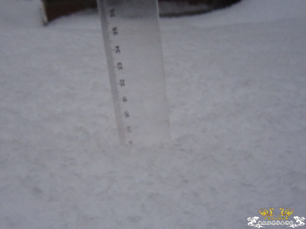 记录2010年1月3日  大雪