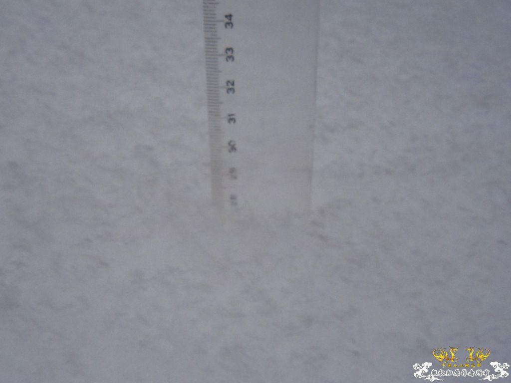 记录2010年1月3日  大雪