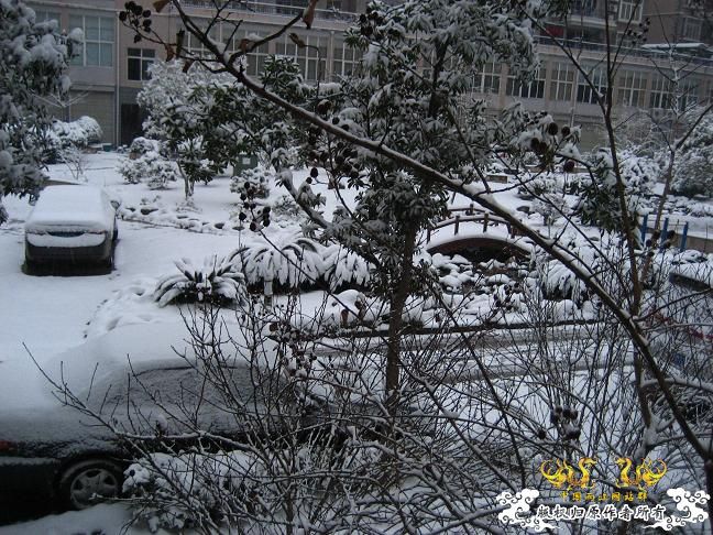 2010的第一场雪