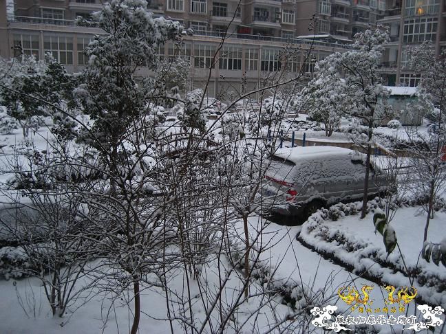 2010的第一场雪