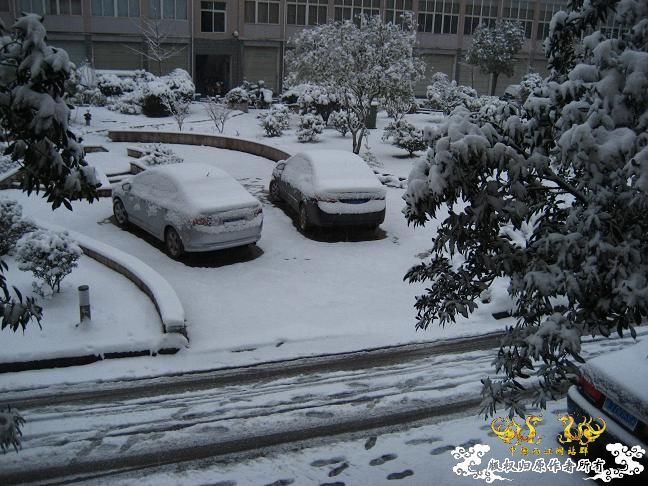 2010的第一场雪