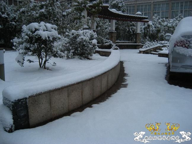 2010的第一场雪