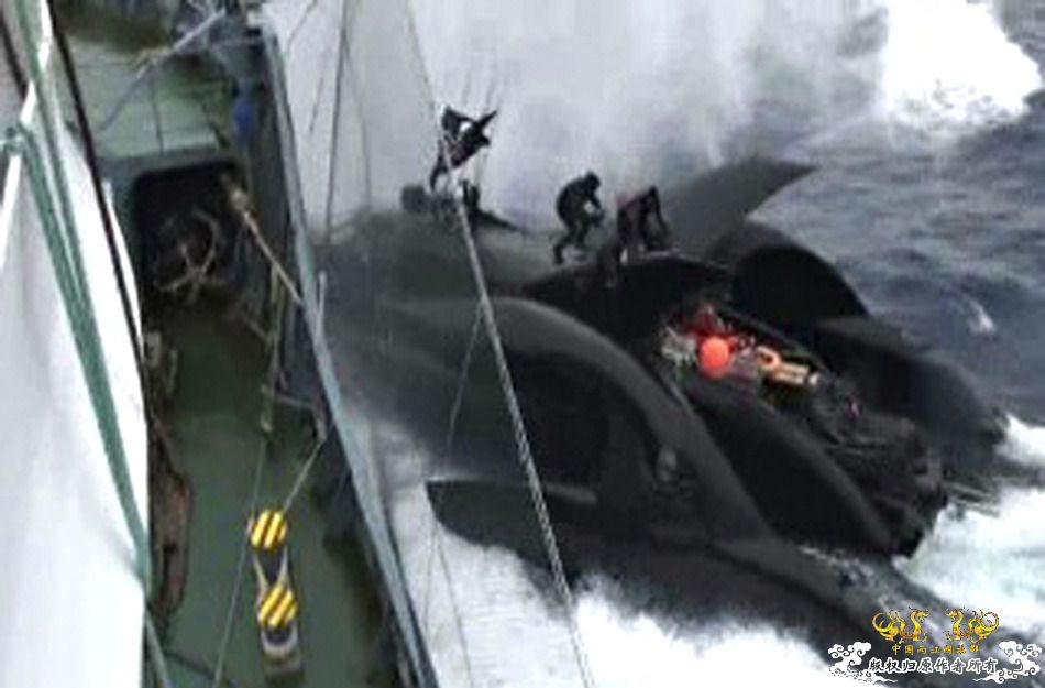 [转帖]反捕鲸团体小船被日本捕鲸船撞沉