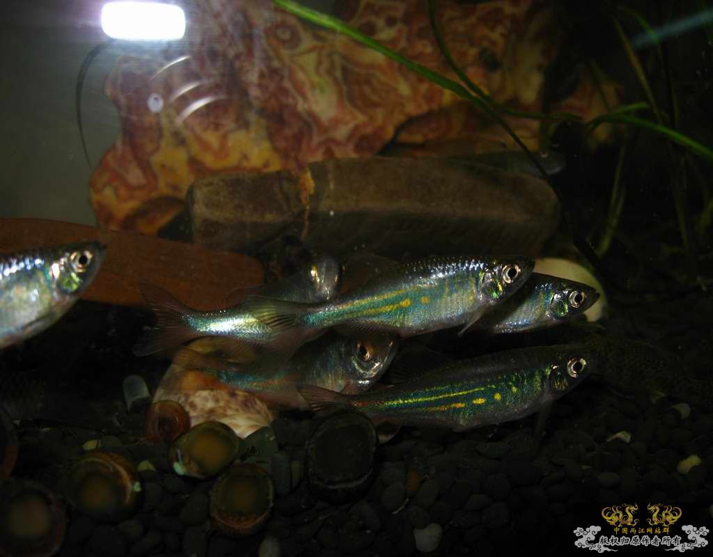 调整大小 照片 250.jpg