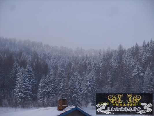 SS850113.JPG