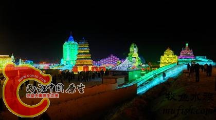 10011214381ba073c0c0591390.jpg