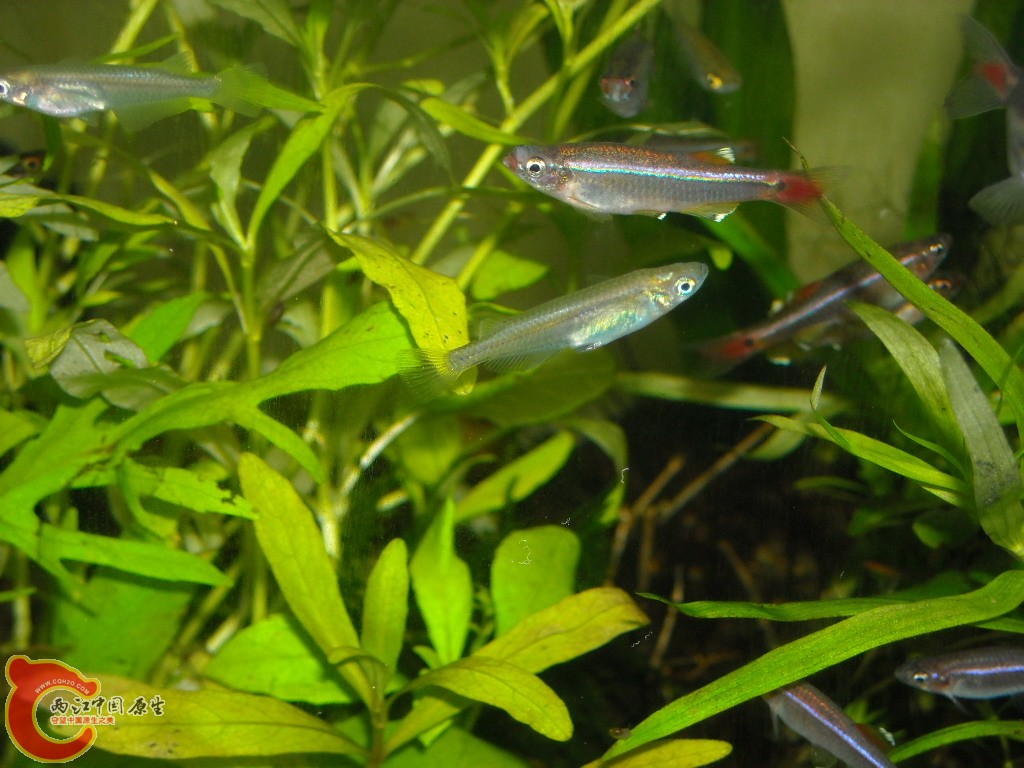 DSCN6154.JPG