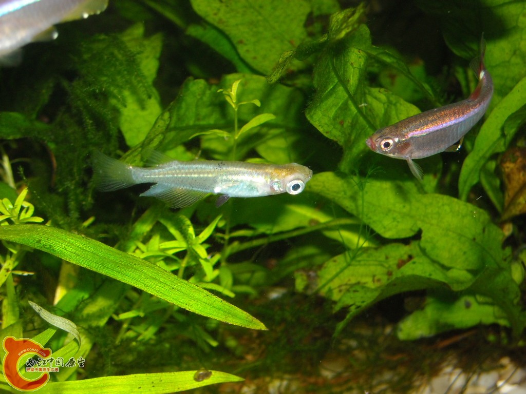 DSCN6162.JPG