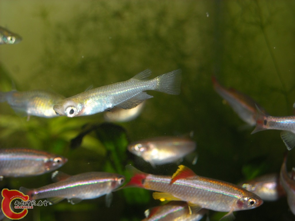 DSCN6163.JPG