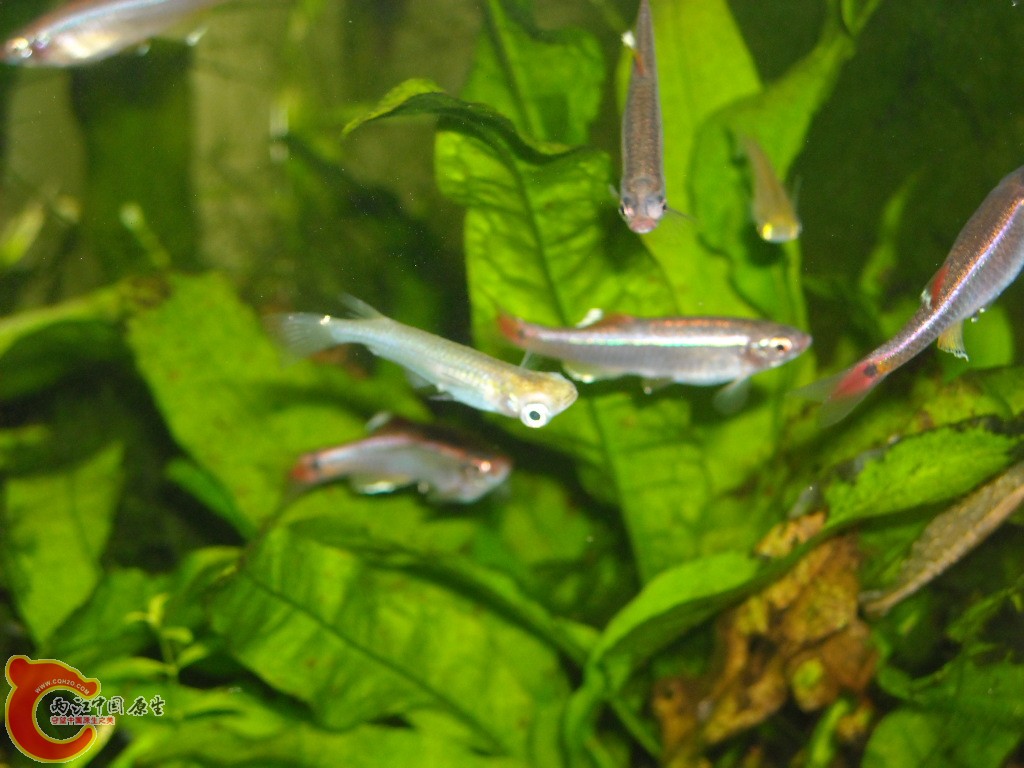 DSCN6156.JPG