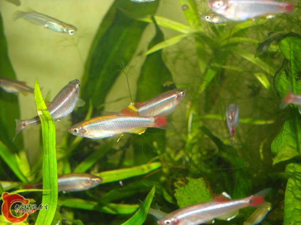 DSCN6161.JPG