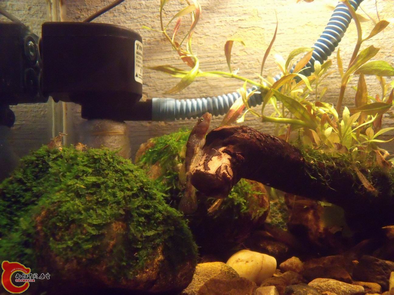 调整大小 DSCF4432.jpg