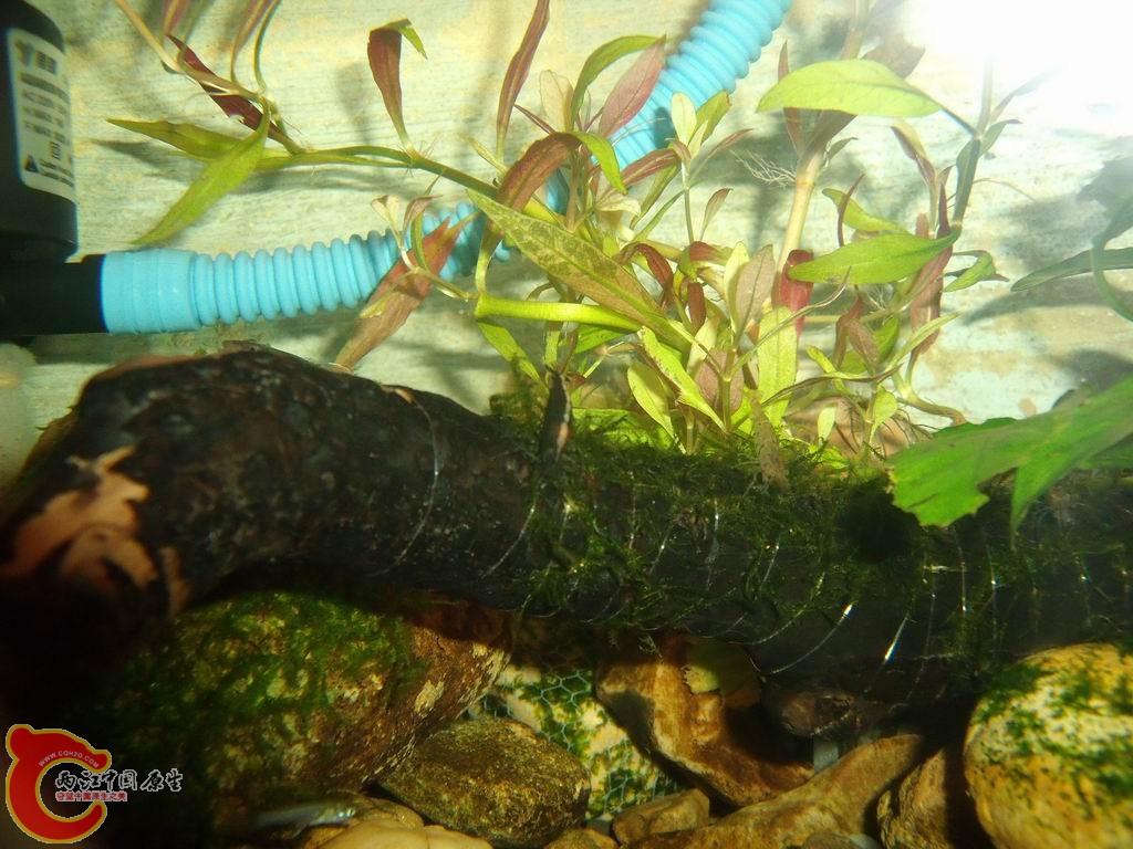 调整大小 DSCF4444.jpg