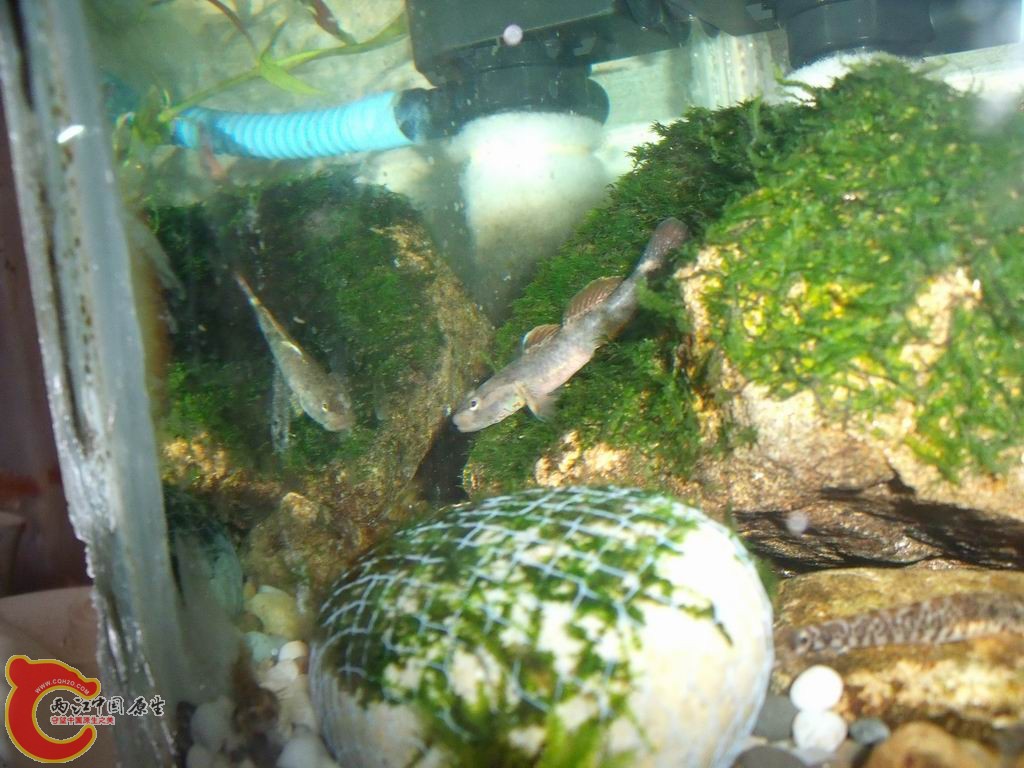 调整大小 DSCF4463.jpg