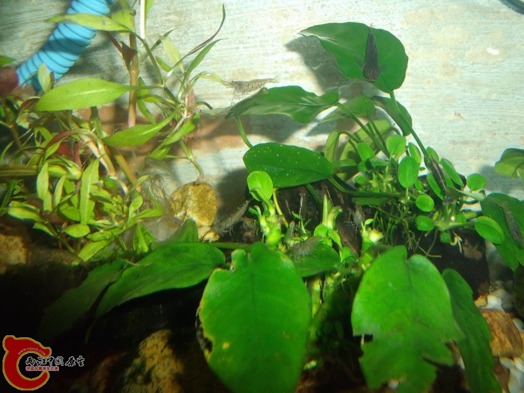 调整大小 DSCF4455.jpg