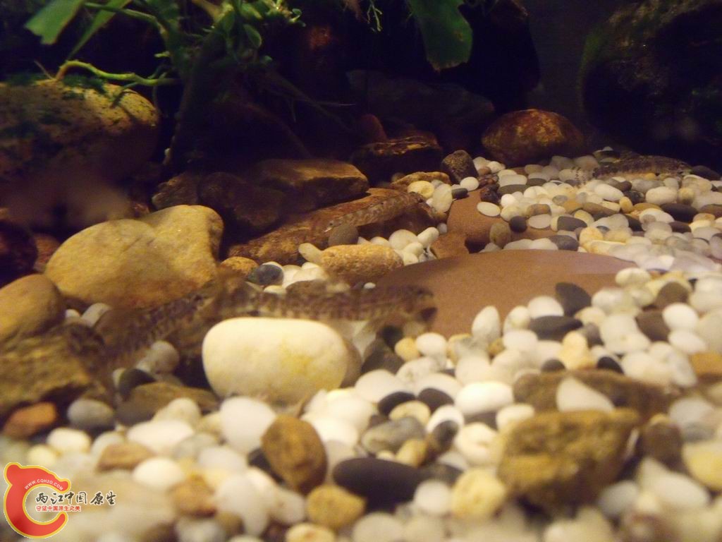 调整大小 DSCF4448.jpg