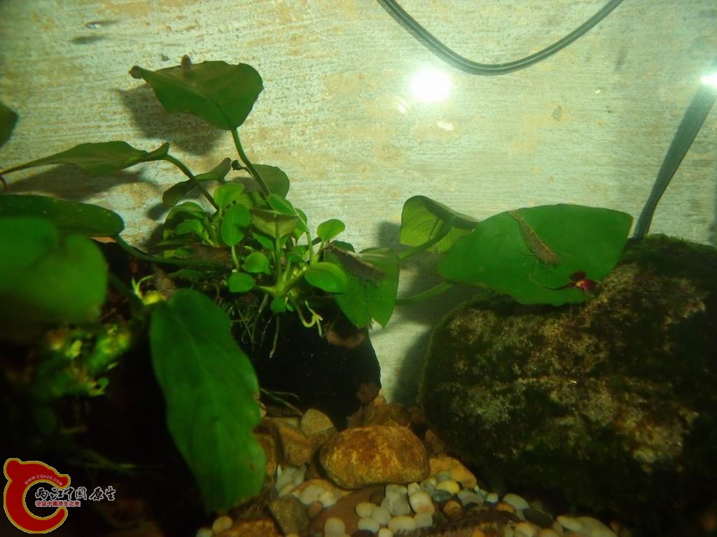 调整大小 DSCF4446.jpg