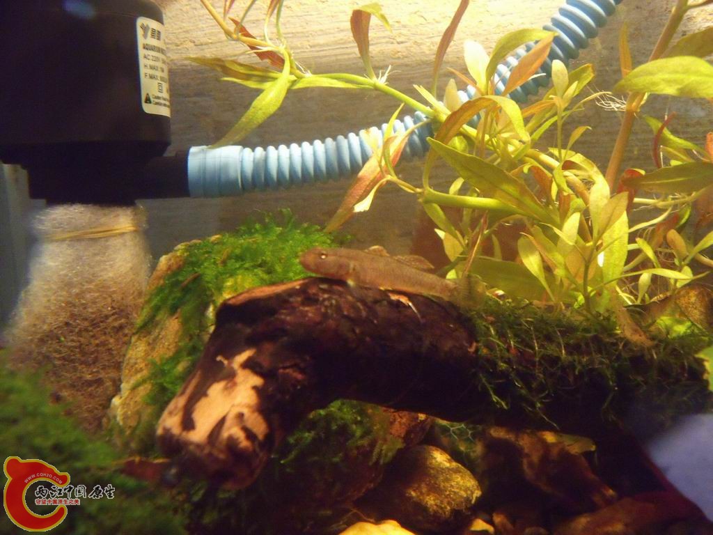 调整大小 DSCF4449.jpg