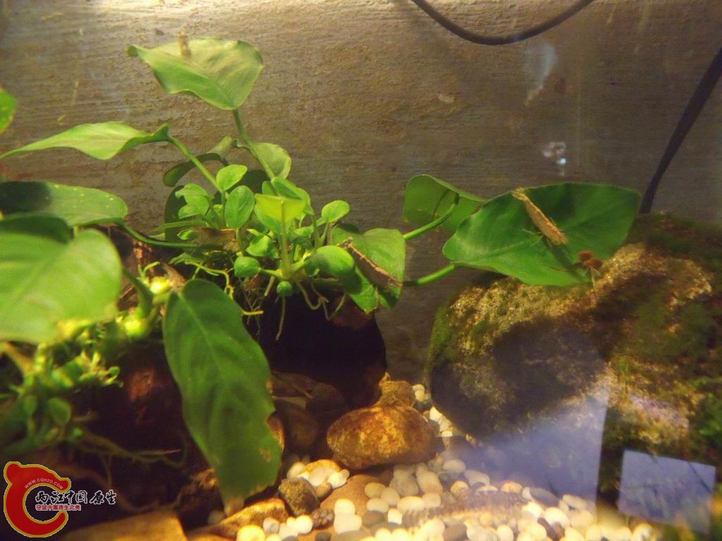 调整大小 DSCF4447.jpg