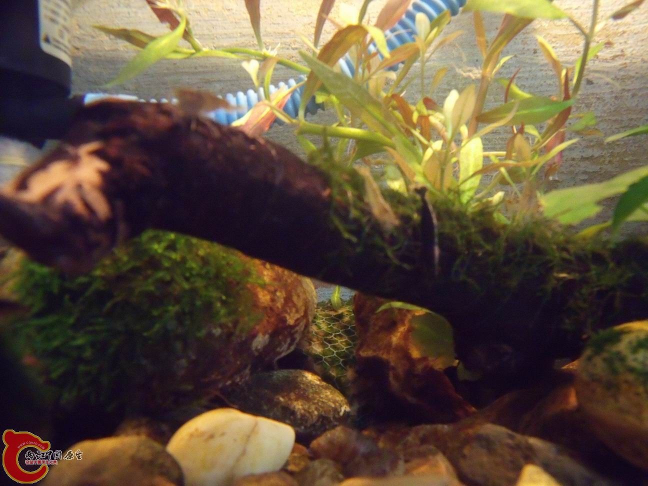 调整大小 DSCF4452.jpg