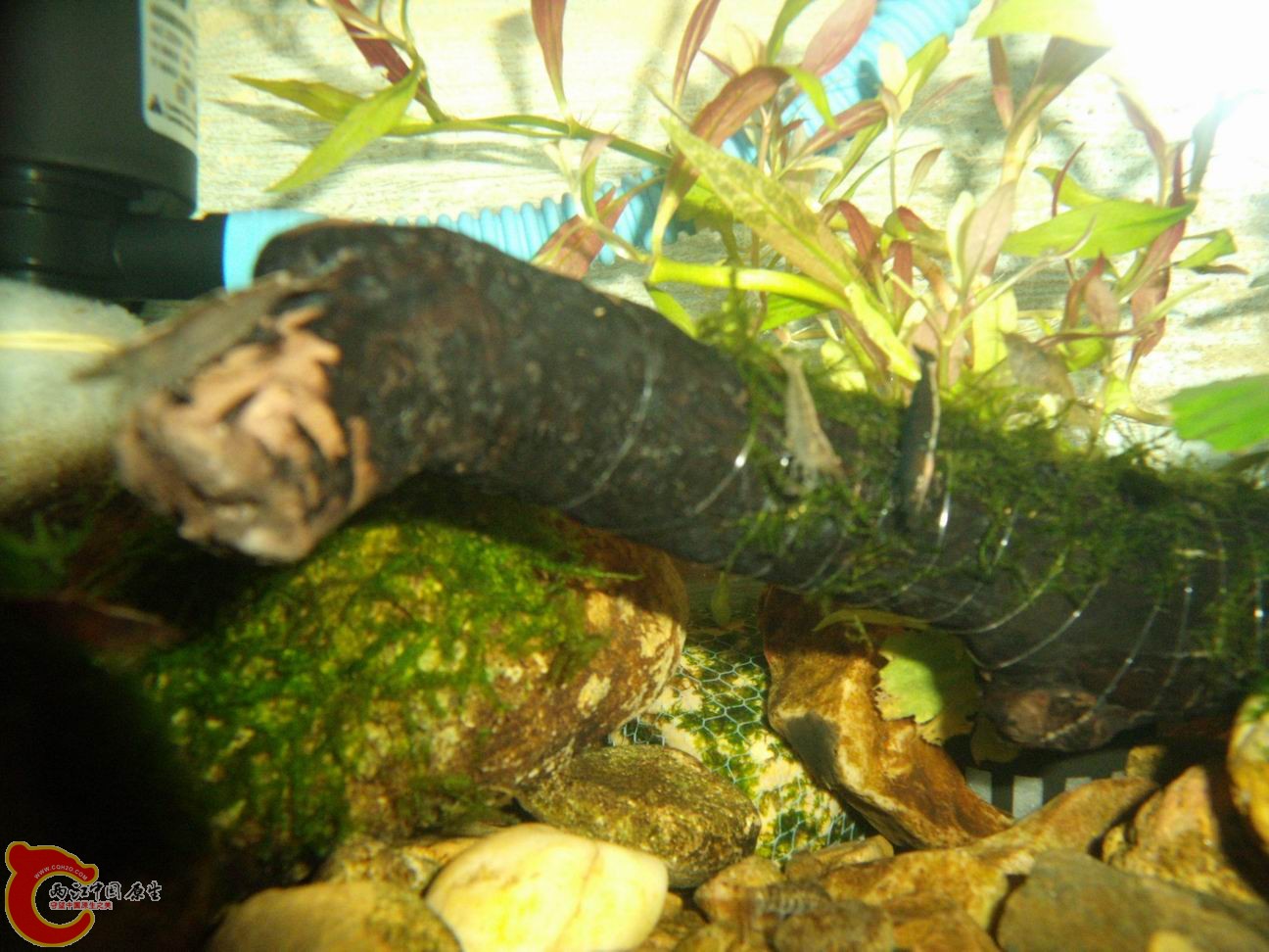 调整大小 DSCF4453.jpg