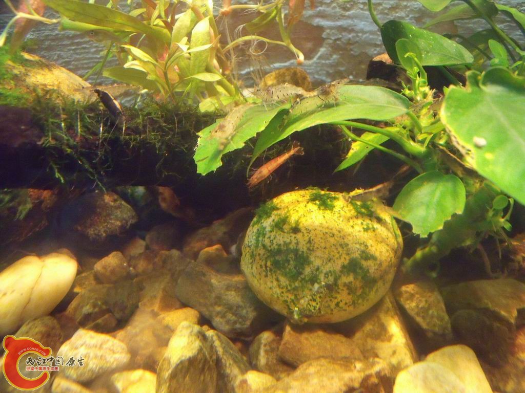 调整大小 DSCF4490.jpg