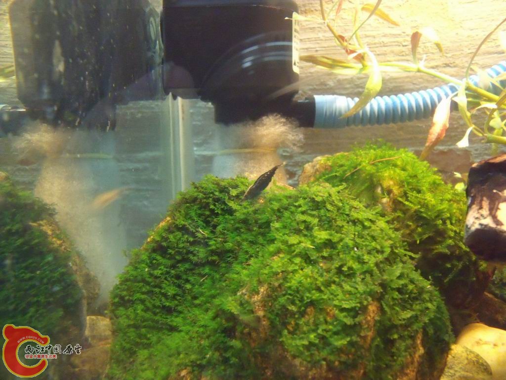 调整大小 DSCF4474.jpg