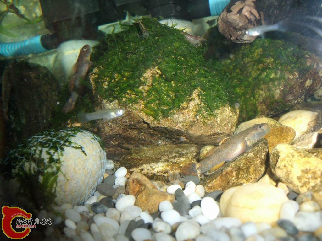 调整大小 DSCF4462.jpg