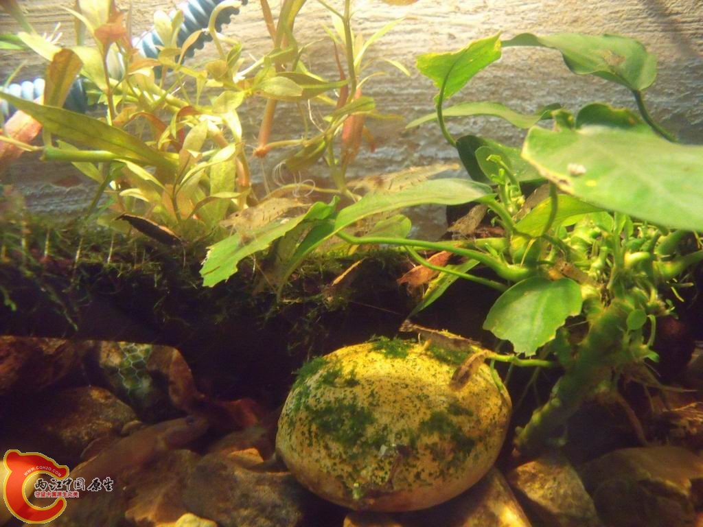 调整大小 DSCF4486.jpg