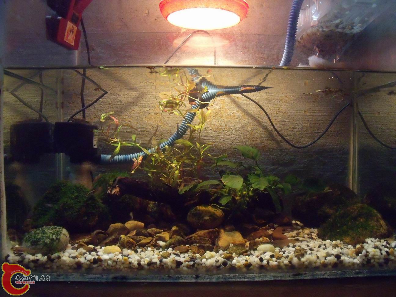 调整大小 DSCF4487.jpg