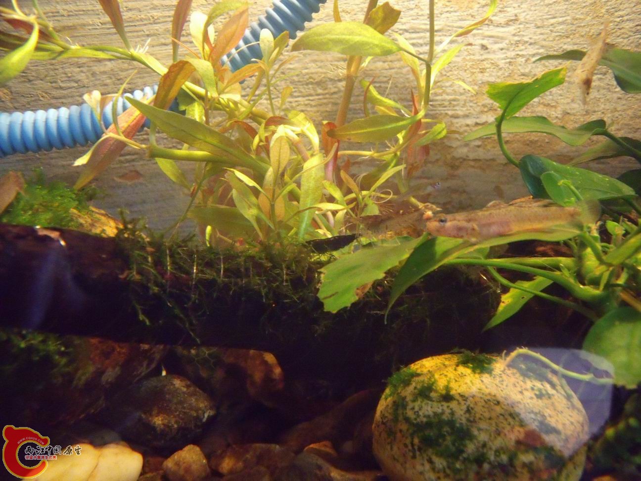 调整大小 DSCF4441.jpg