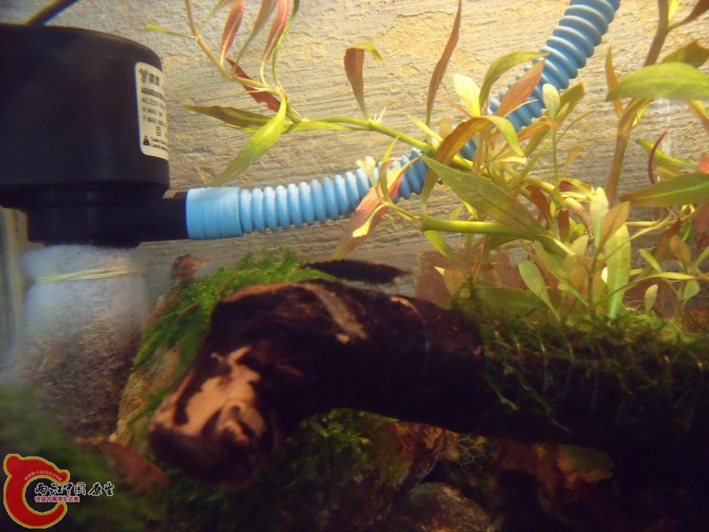 调整大小 DSCF4457.jpg