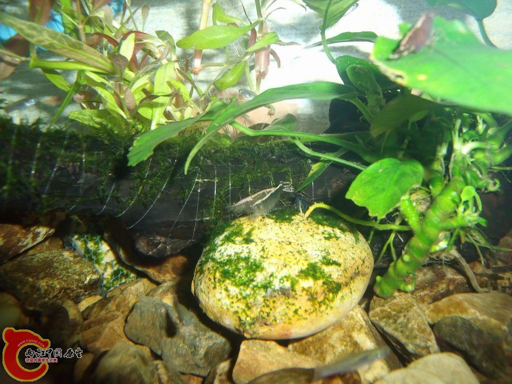 调整大小 DSCF4459.jpg