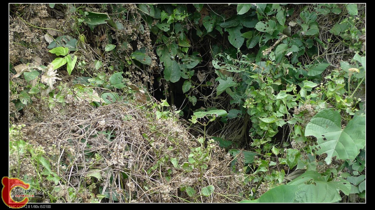 不断地在这些洞内钻来钻去