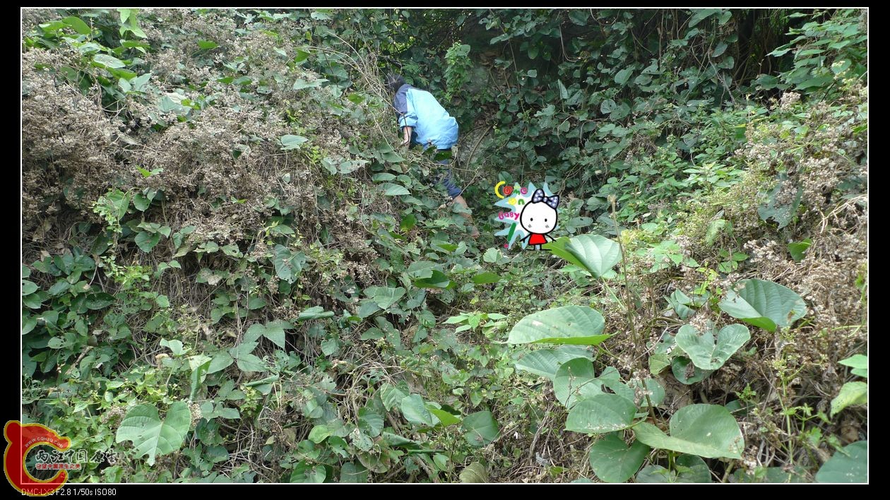 注意。。赤脚的。。这需要巨大勇气