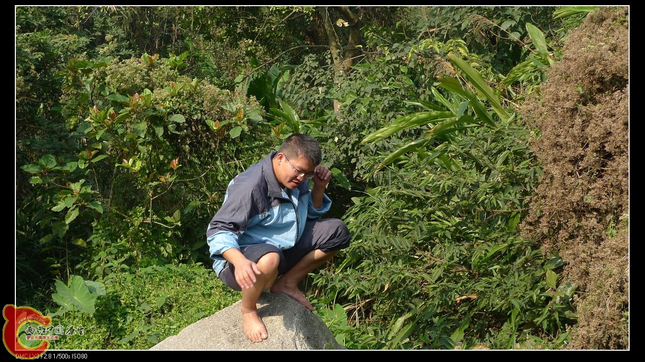 其实啥都没看见