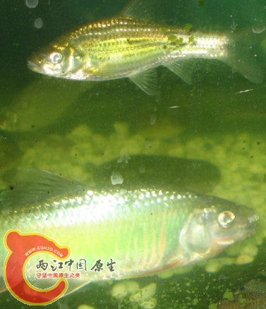 暗暗暗暗暗暗暗暗暗暗.jpg