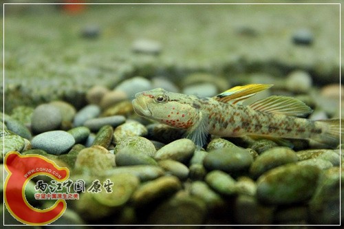 IMG_4220_nEO_IMG.jpg