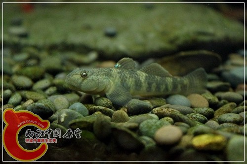IMG_4291_nEO_IMG.jpg