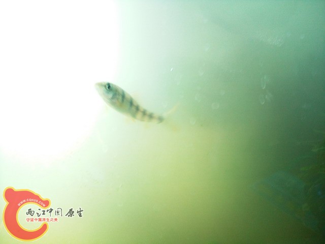 照片0189.jpg