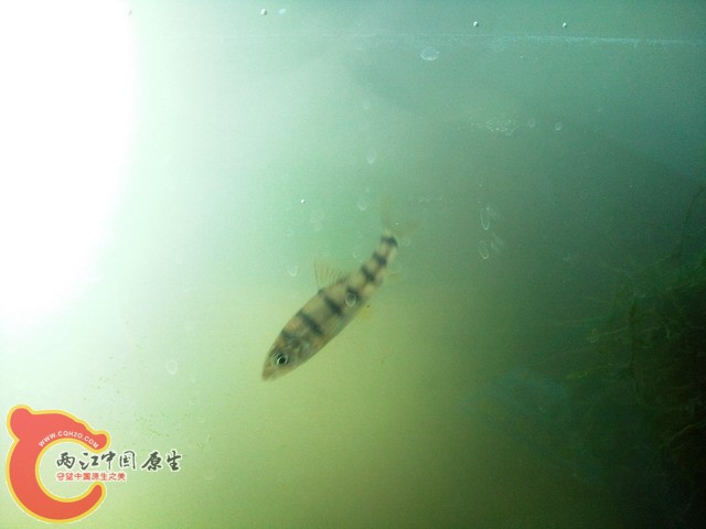 照片0190.jpg