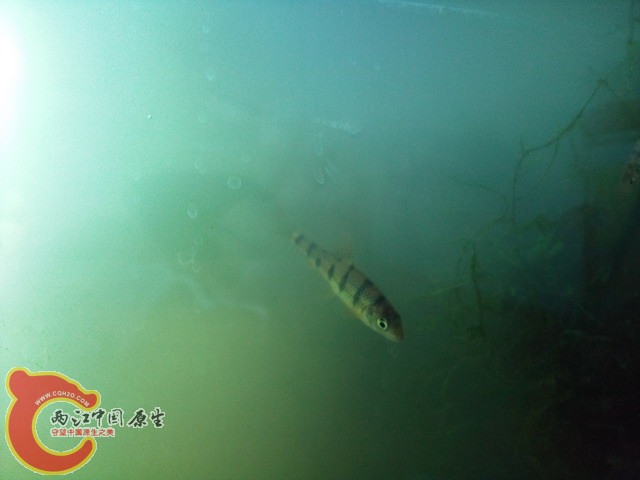 照片0191.jpg