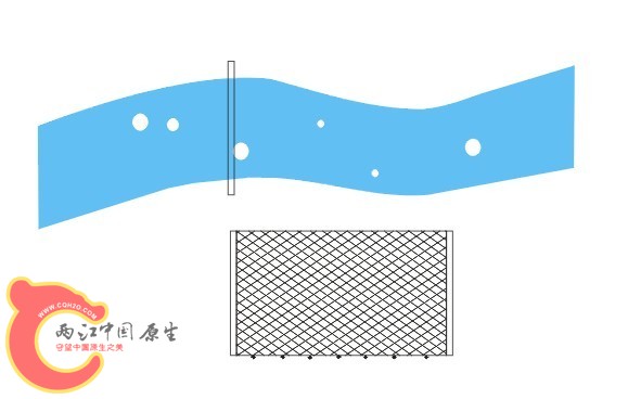 沾网.jpg
