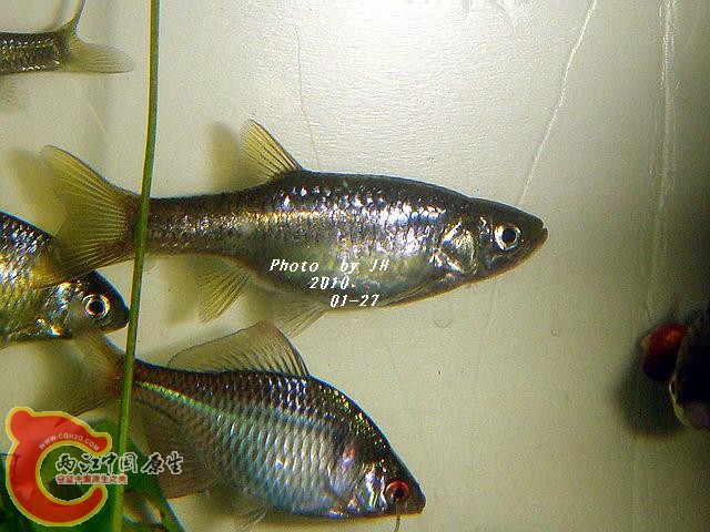 DSC05283_调整大小.jpg