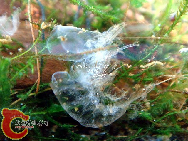 DSC05195_调整大小.jpg