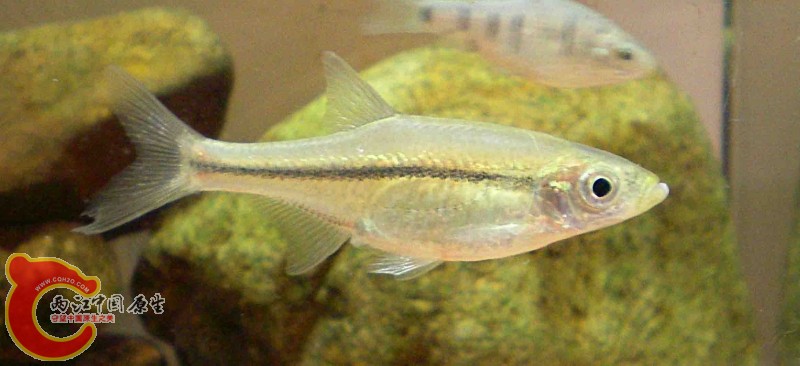 20091203_bb0b7c1aef699e21dfd78RSeMXfmZcxc.jpg.thumb.jpg