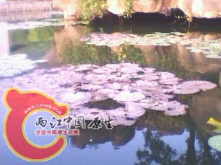 IMG0012A.jpg