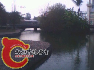 IMG0009A.jpg